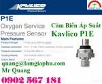 Cảm Biến Áp Suất Kavlico P1E