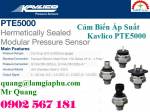 Cảm Biến Áp Suất Kavlico PTE5000